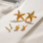 縮圖：seastar stud seashell stud ocean stud earrings stack of 3pairs