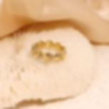 縮圖：Custom Stainless Steel Shell Ring – Trendy, Tarnish-Free & Perfect for Daily Wea