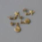 縮圖：sea shell and sea star earrings